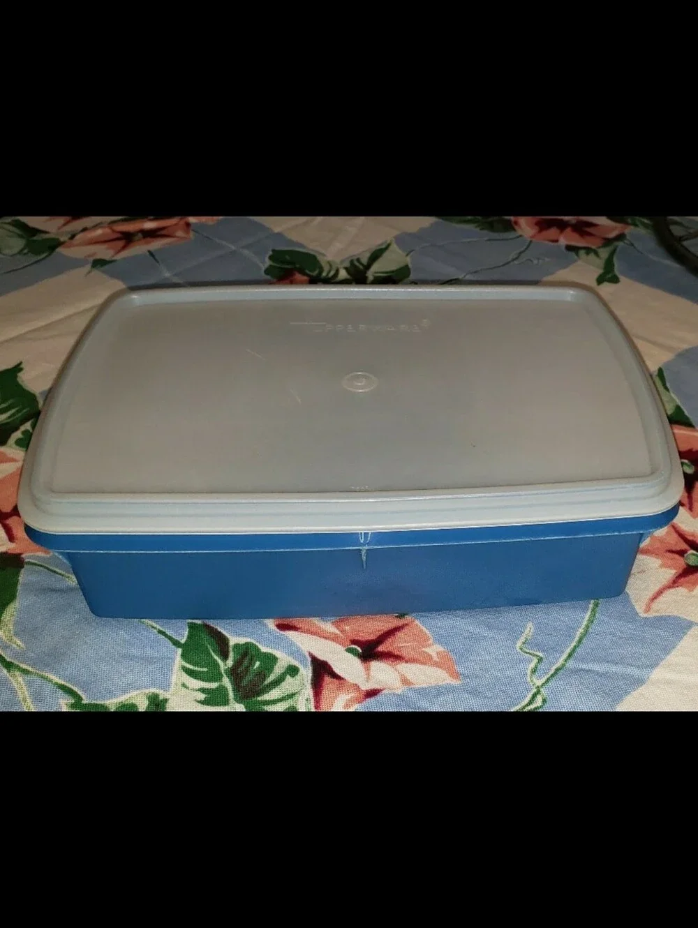 Tupperware vintage blue